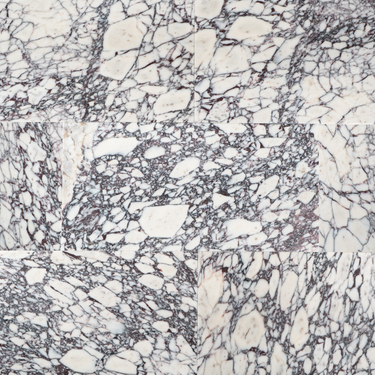 Breccia Medicea Marble 12x24 Honed Field Tile