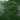 Handmade Moroccan Zellige 2x6 Emerald Green Bejmat Terracotta Tile