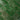 Handmade Moroccan Zellige 2x6 Emerald Green Bejmat Terracotta Tile