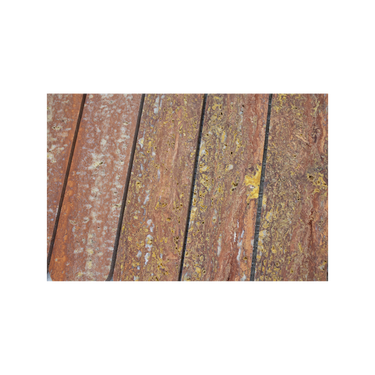 Capsule Red Travertine Marble Honed Mosaic Tile