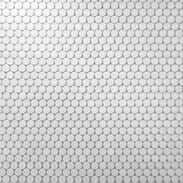 Moneta 1" Bianco Dolomite Marble Honed Mosaic Tile