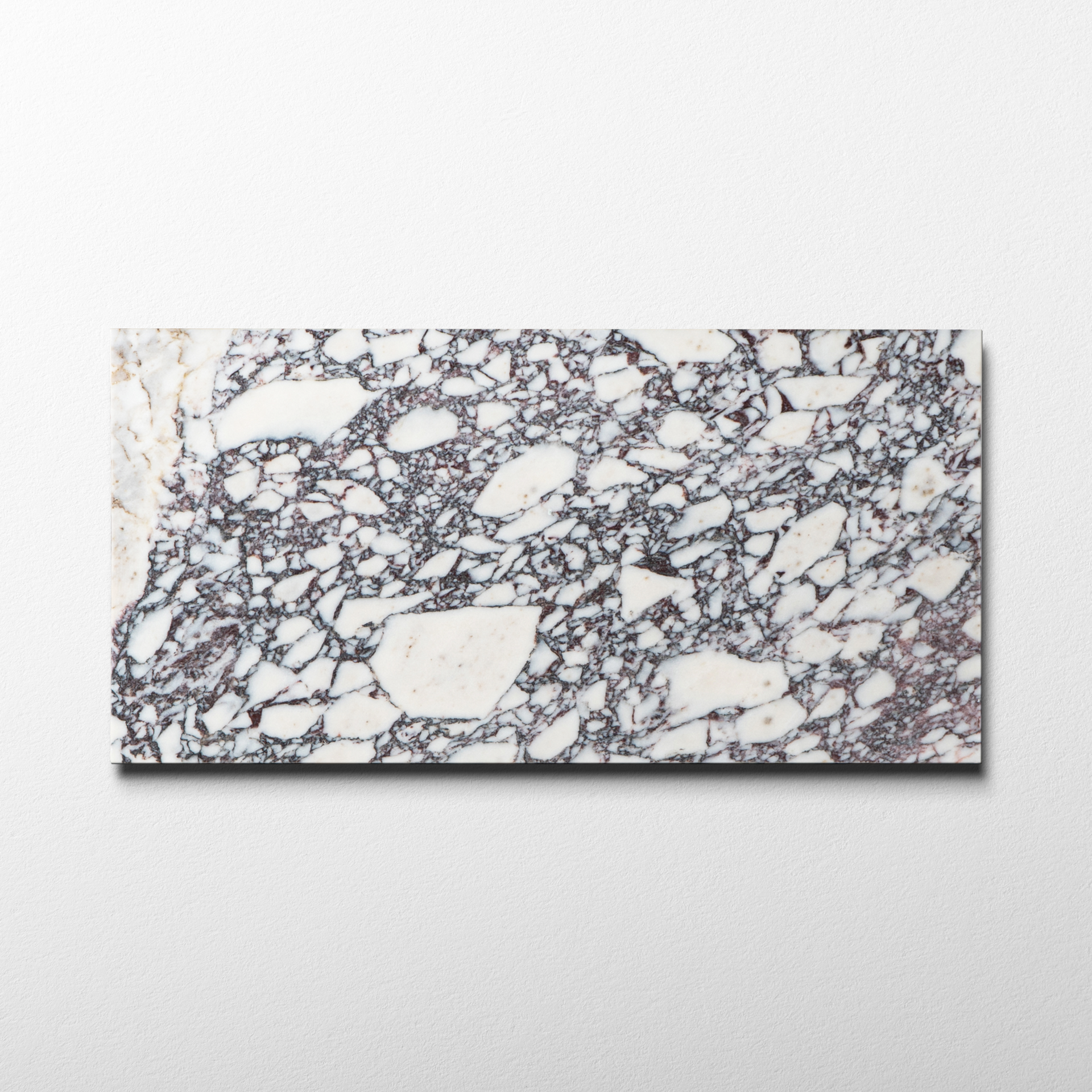 Breccia Medicea Marble 12x24 Honed Field Tile – Tiles of Lucca