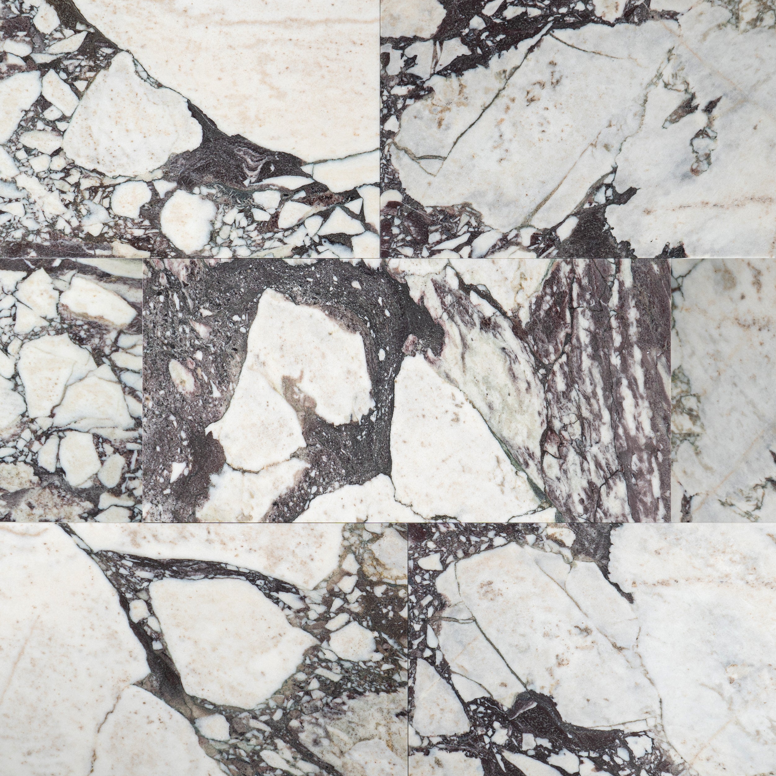 Calacatta Viola Marble 12x24 Honed Field Tile – Tiles of Lucca
