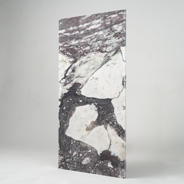 Calacatta Viola Marble 12x24 Honed Field Tile