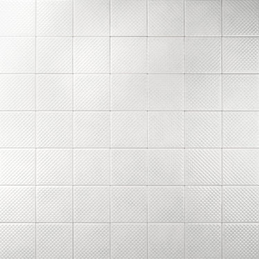 Serpente 4x4 White Ceramic Tile