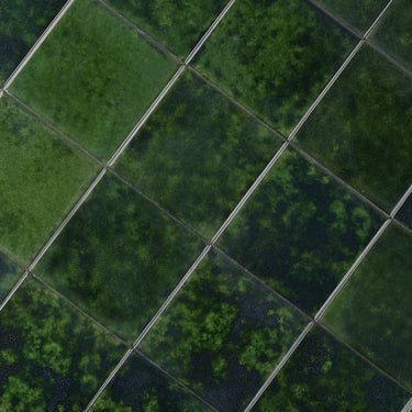 Spruzzatta 4x4 Jade Green Ceramic Tile
