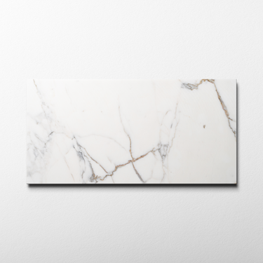 Calacatta Gold 12x24 Polished Field Tile