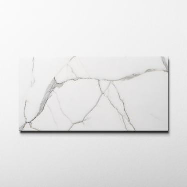 Calacatta Gold 12x24 Polished Field Tile